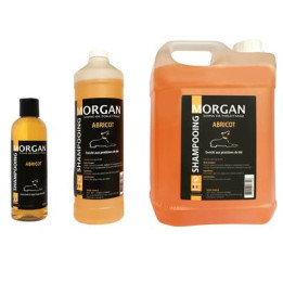 Shampooing Abricot Disponible En 250Ml, 1L Et 5L