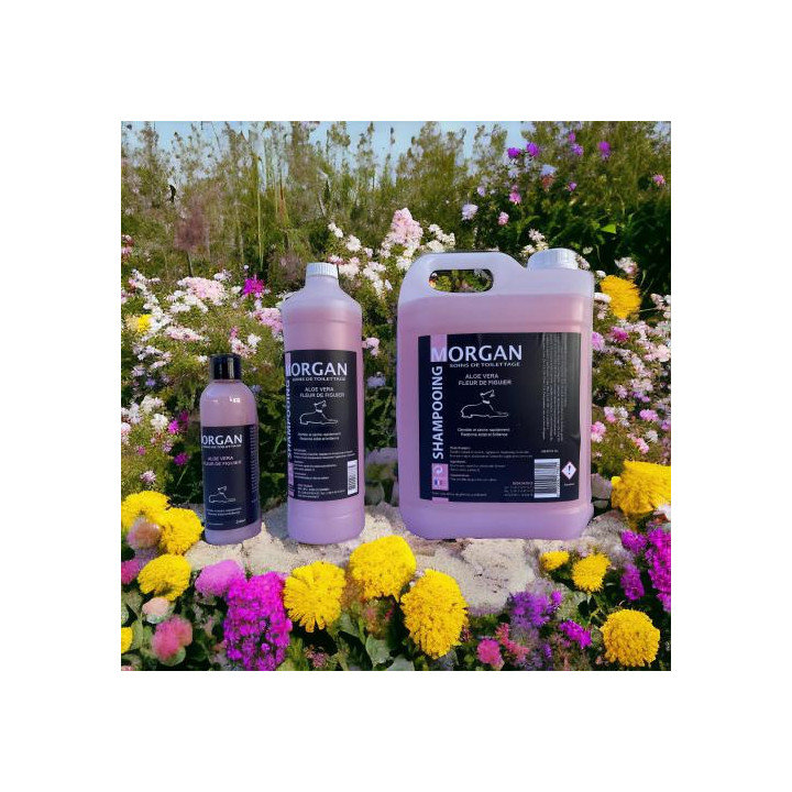 Shampooing Aloe Vera Fleur De Figuier Disponible En 250Ml, 1L Et 5L