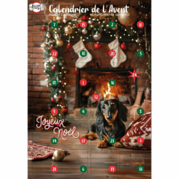 Calendrier De L Avent Noel Pour Chien Doogy - Asst Biscuits 168Gr