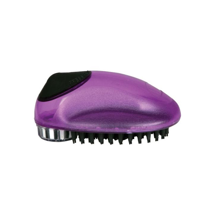 Brosse Massante Lavante