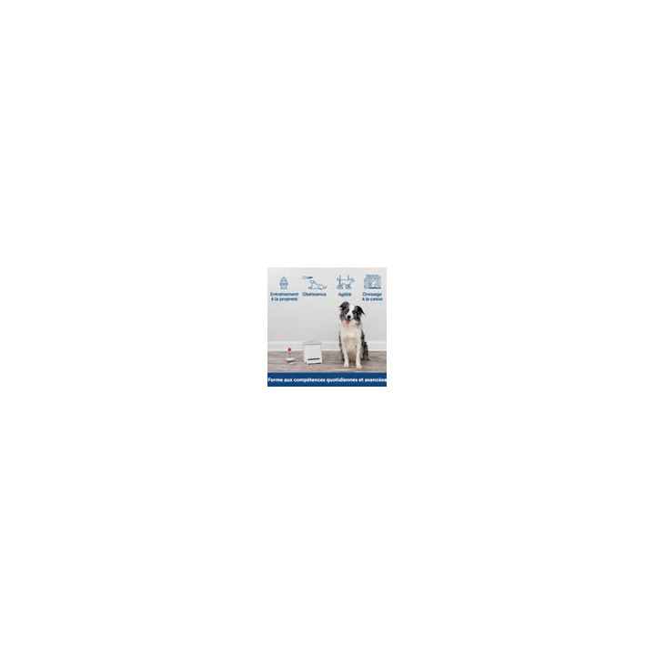 SYSTÈME DE DRESSAGE TEACH AND TREAT