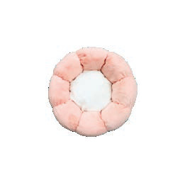 COUSSIN FLORAL nnoouuvveeaauu