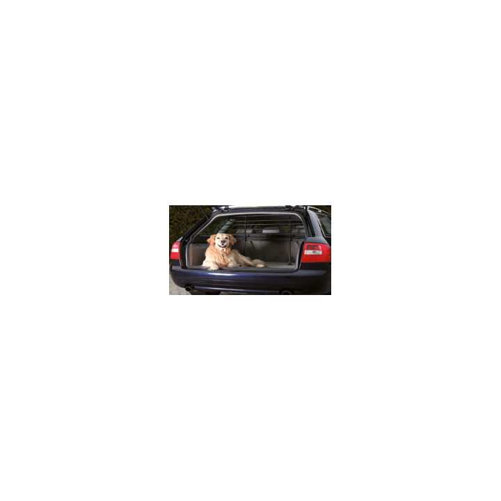 VOITURE