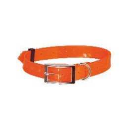 Collier fluo plein air