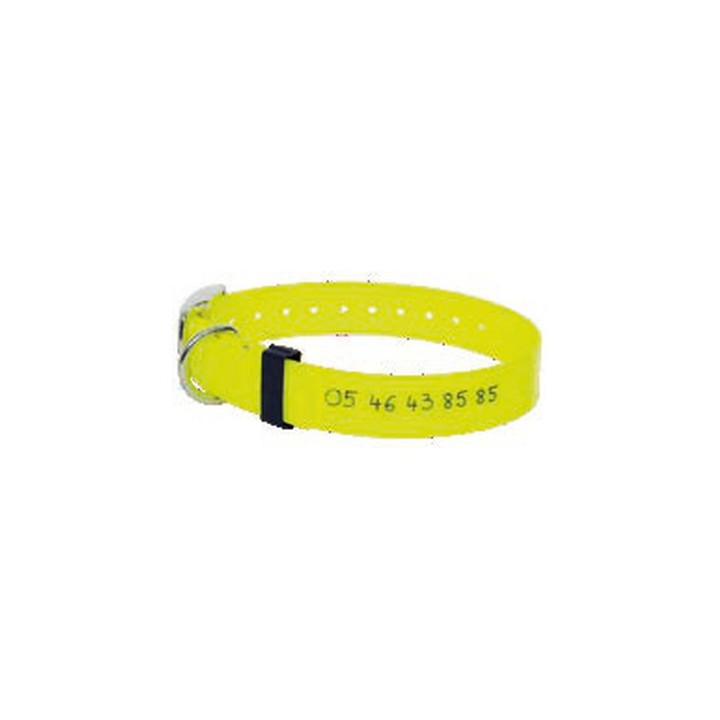 Collier fluo plein air