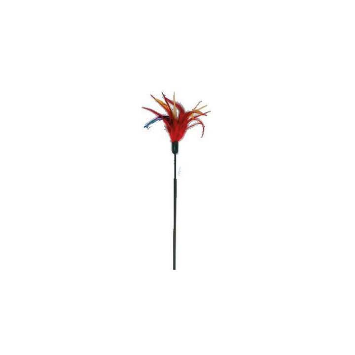 Fouets à plumes pour chat