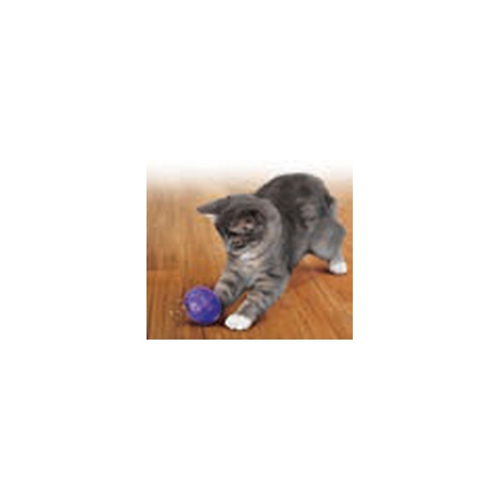 KONG Active Ball Chat