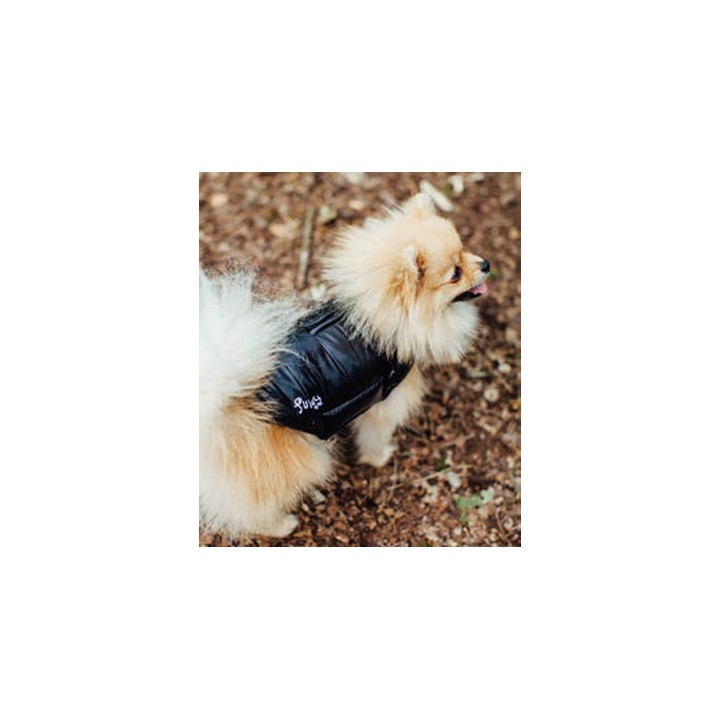 Doudoune Fun Fashion pour chien