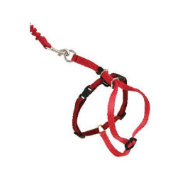 HARNAIS CHAT EASY WALKROUGE