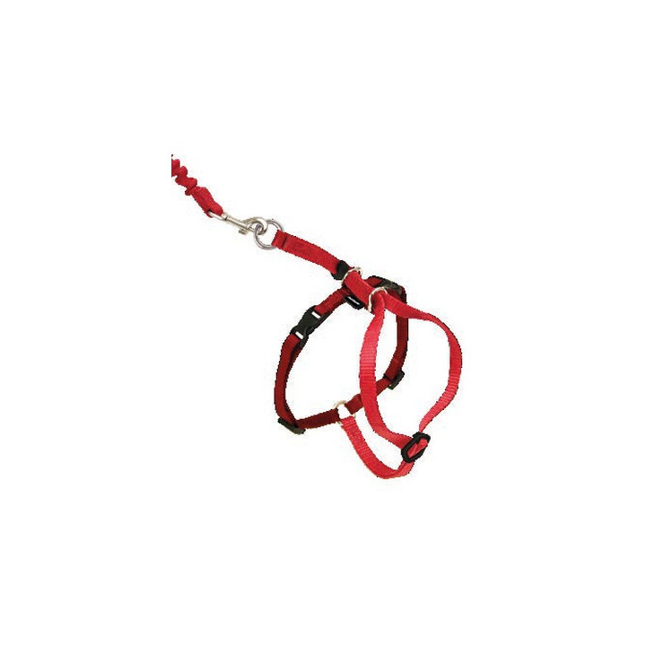HARNAIS CHAT EASY WALKROUGE
