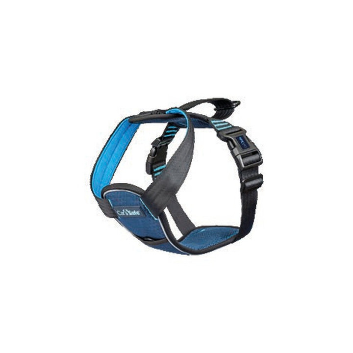 HARNAIS CARSAFE COLLISION BLEU