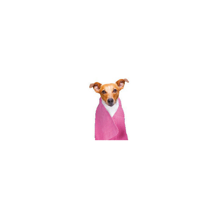 Serviettes rafraîchissantes pour chiens et chats
