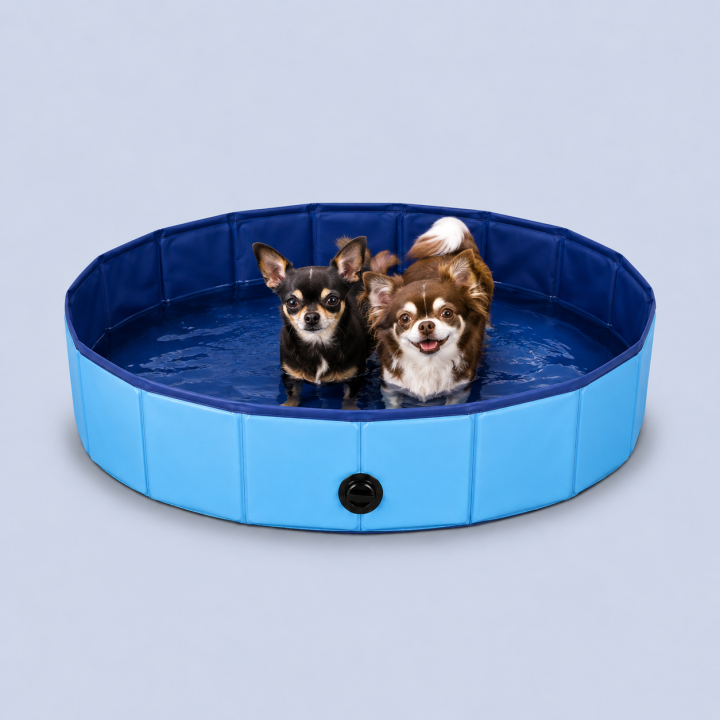 Piscine pour chiens pliable