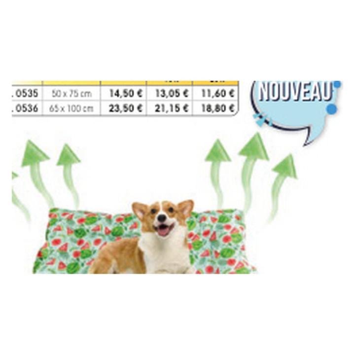 Tapis rafraîchissant imprimé pour chien et chat