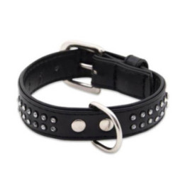 Collier Glamorous 2 rangs pour chien