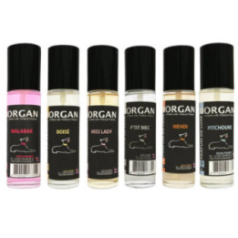 Parfum de luxe Morgan pour chien