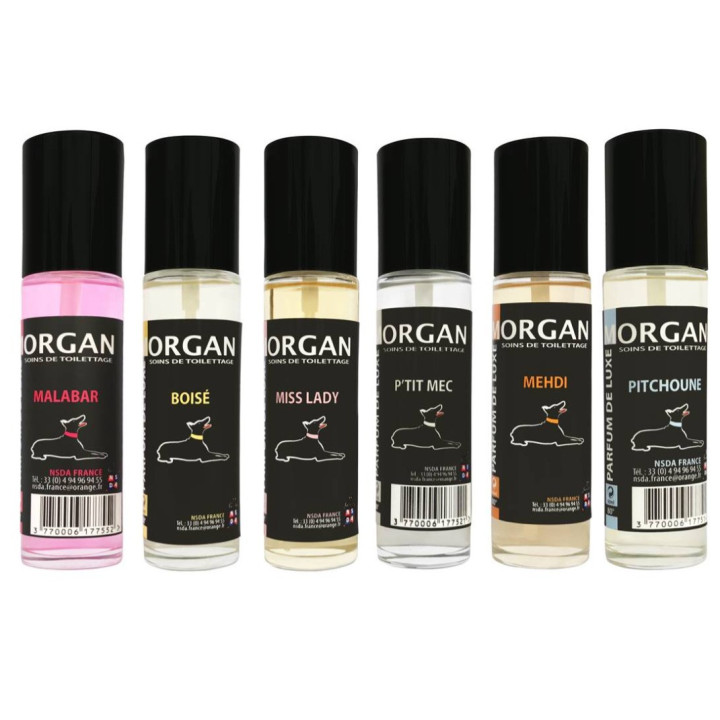 Parfum de luxe Morgan pour chien