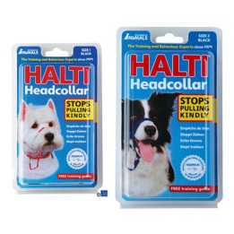 LICOL HALTI
