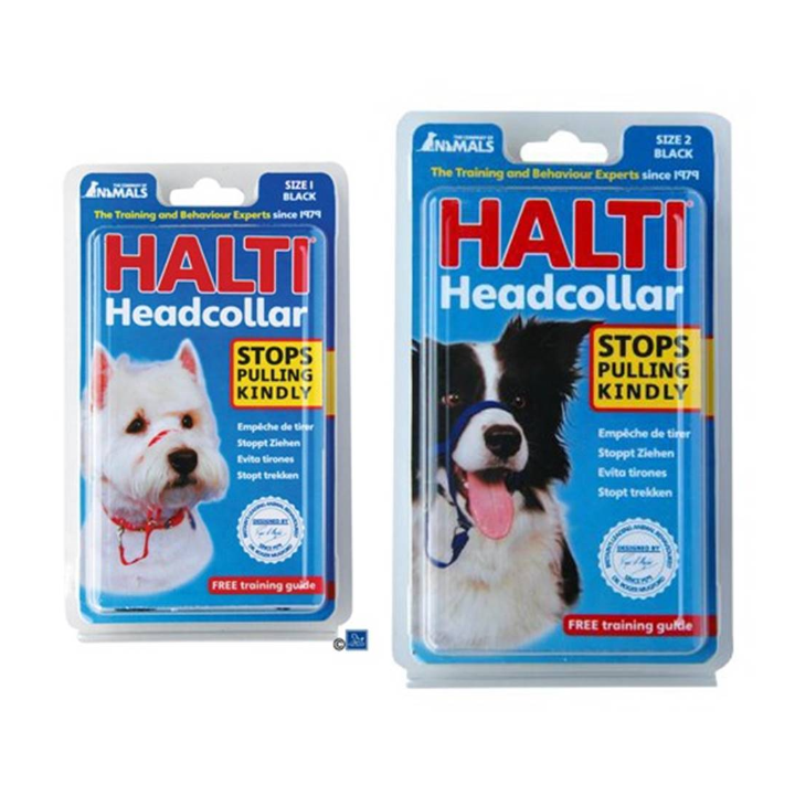 LICOL HALTI