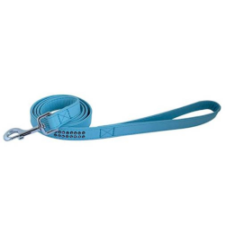 Laisse Glamorous pour chien